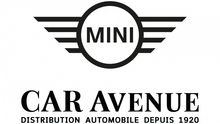 MINI-CAR-Avenue.png